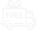 Free Shipping Icon